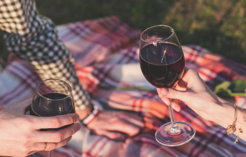 Two people tapping red wine in glasses at a picnic